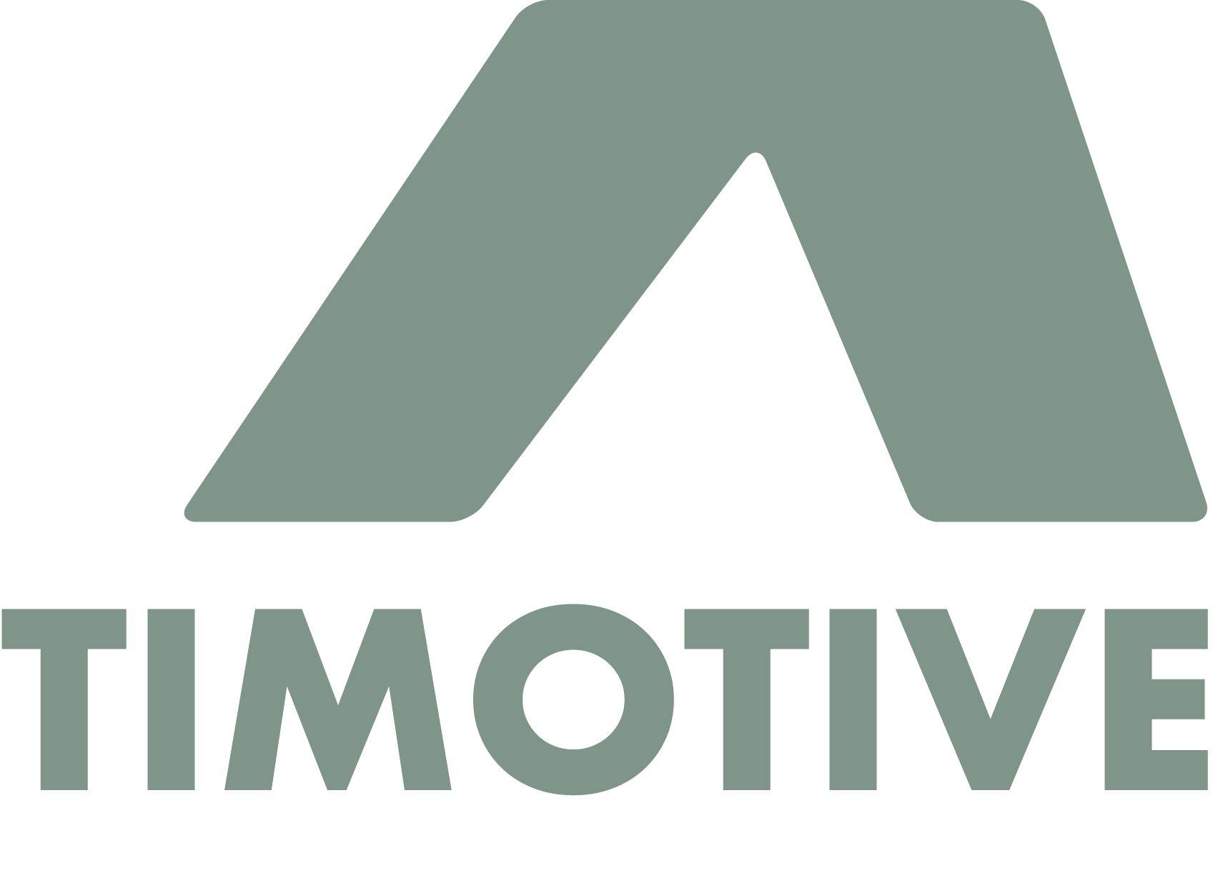 tms logo patch transparent